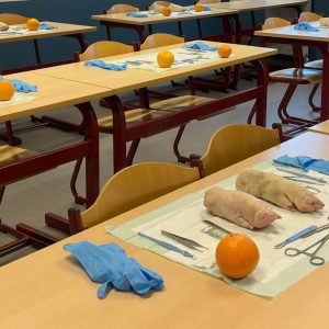 Werktafels klaargezet voor de workshop debridement, met instrumenten, handschoenen en oefenmateriaal per plaats.