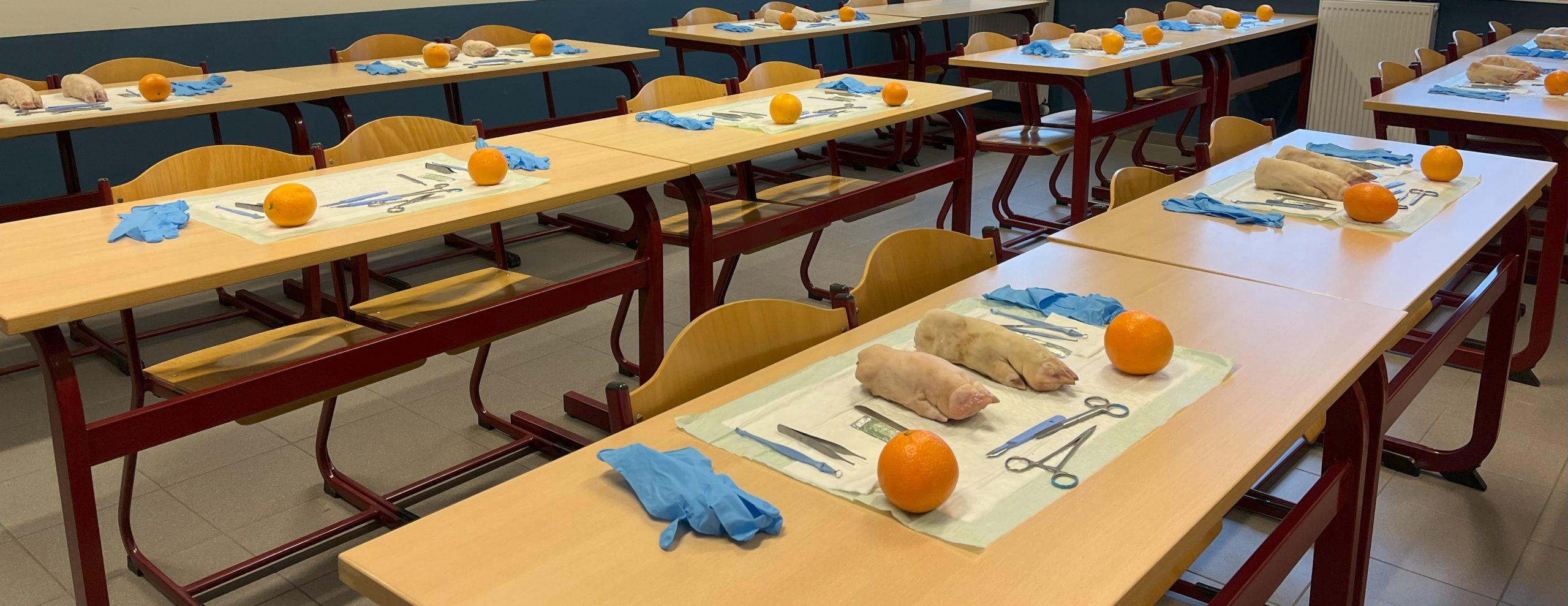 Werktafels klaargezet voor de workshop debridement, met instrumenten, handschoenen en oefenmateriaal per plaats.